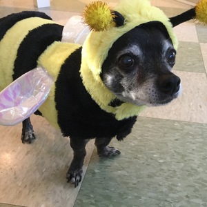 Fundraising Page: Melissa Stull